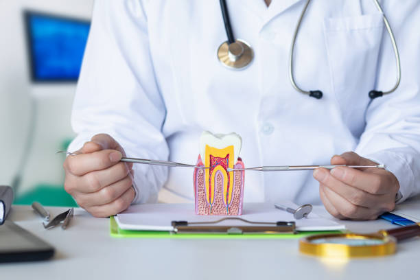 Best Orthodontic Emergency Dentist in Osceola Mills, PA